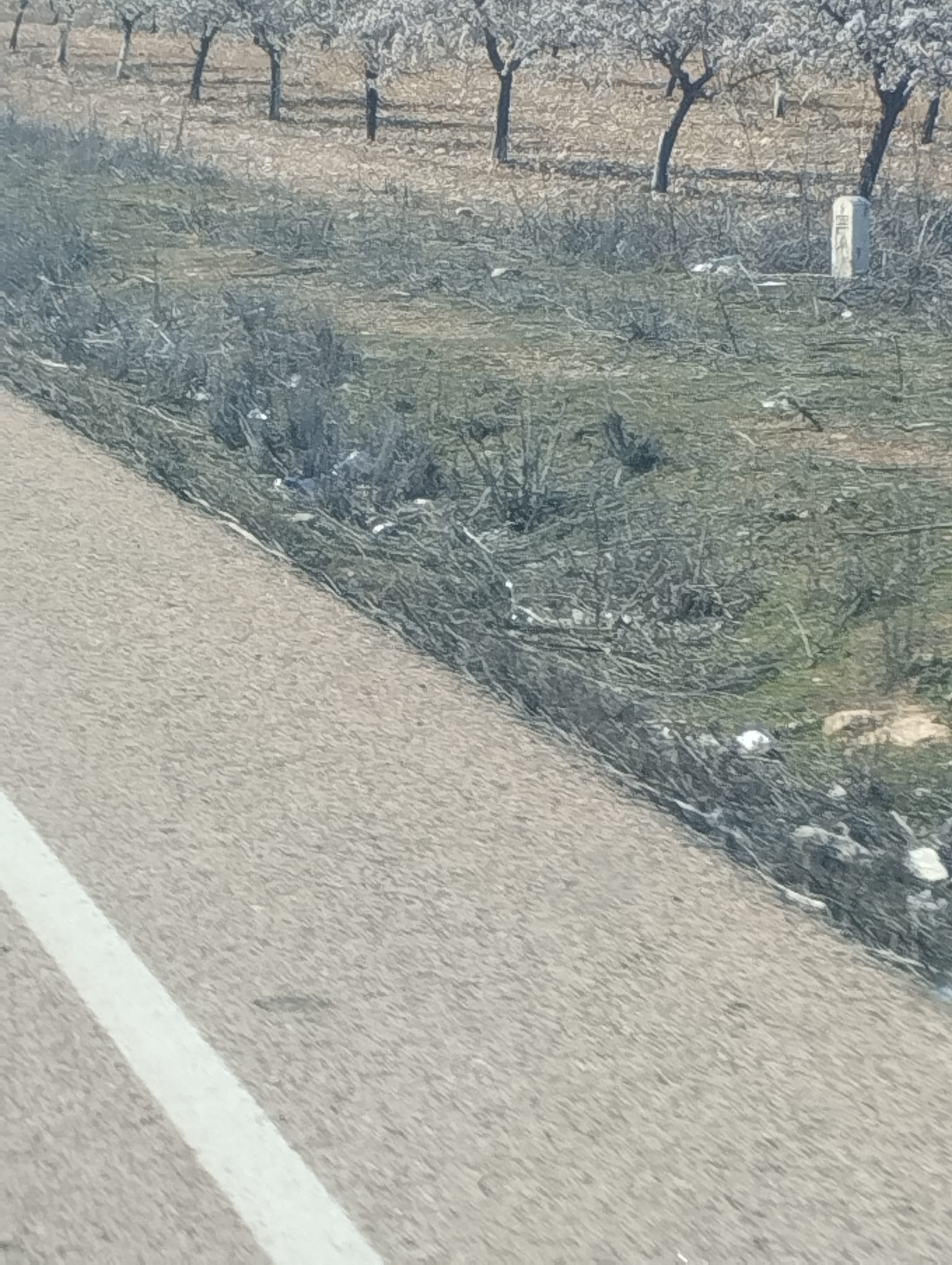 Estado antes de Limpiando Caminos - Camino rural deteriorado 3